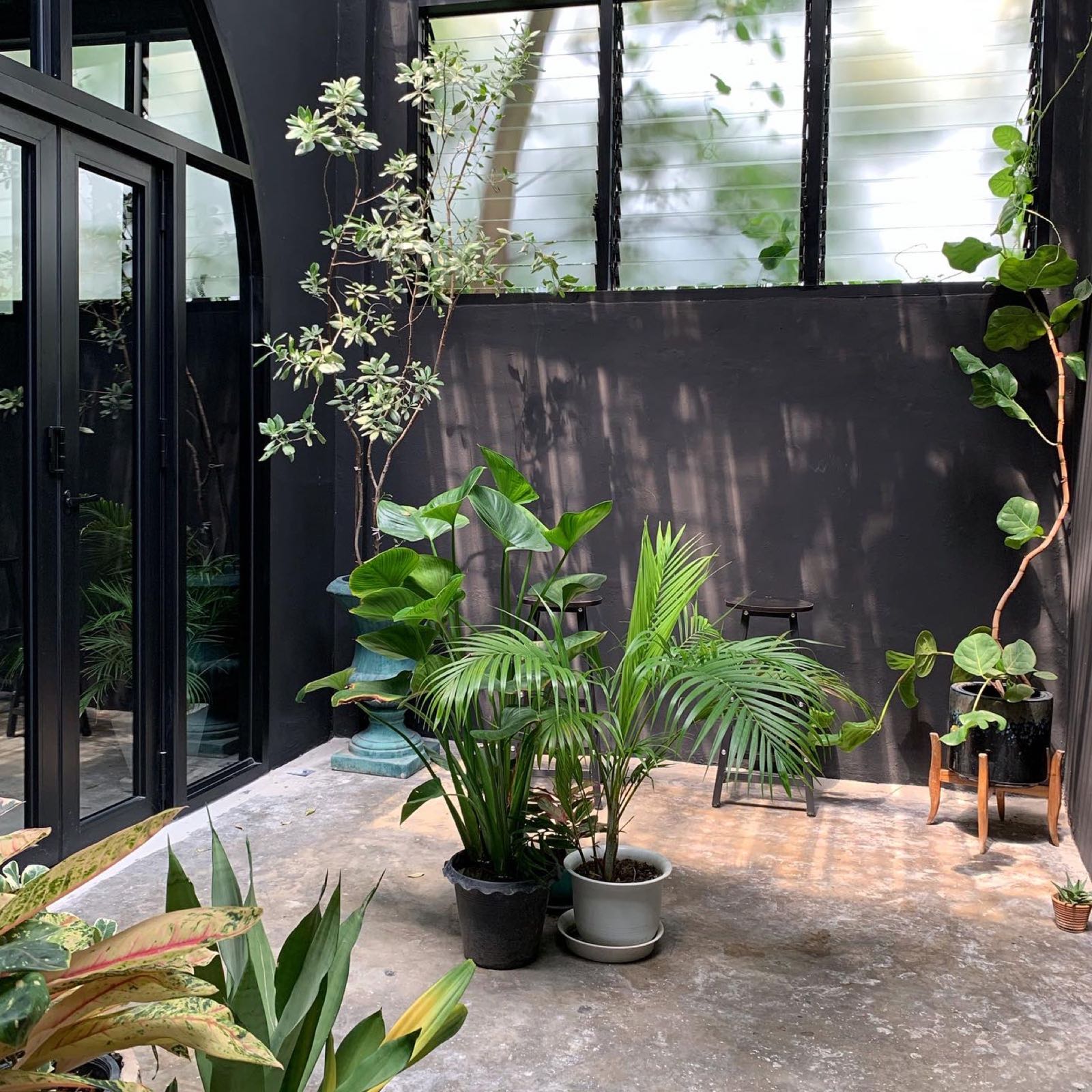 The courtyard at SOLID with hanging plants